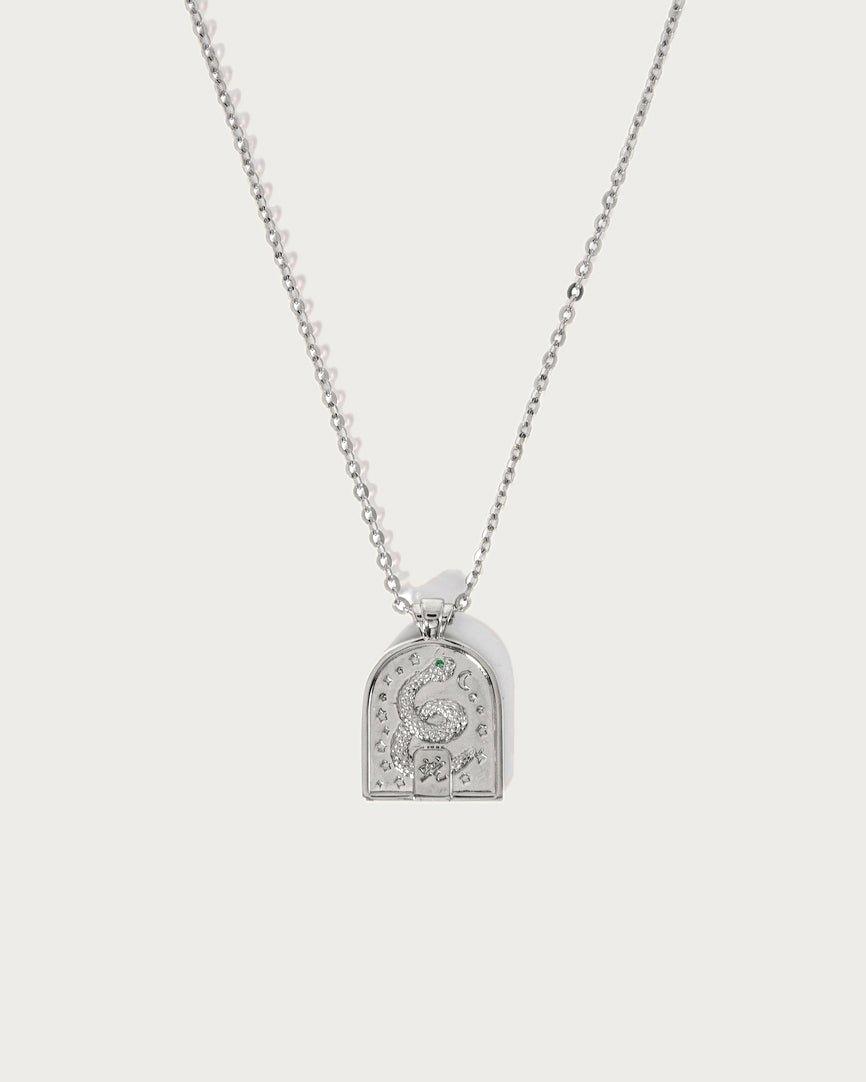Snake Necklace in Silver
